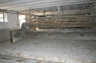 Photo-079.gif - 